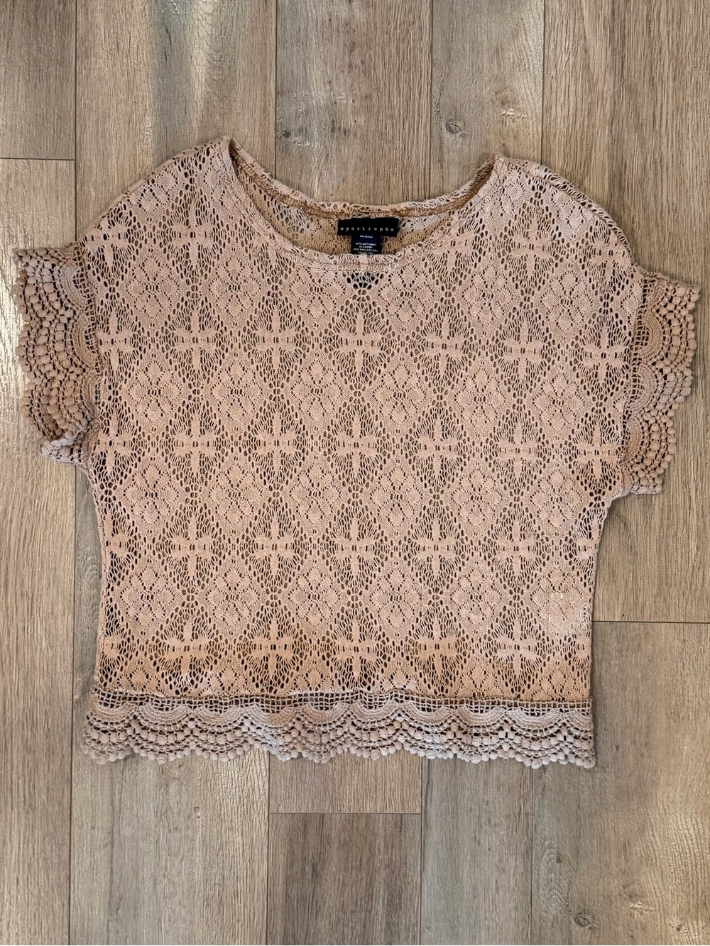 Apostrophe Blush Lace Crop Top
